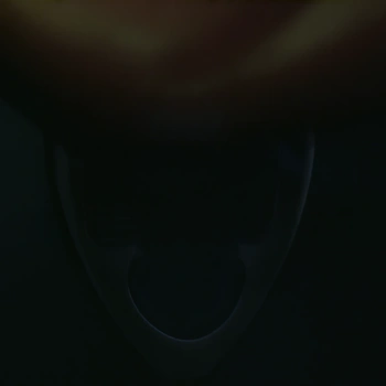 WaveSpeed: FlashVSR Video Upscale - After