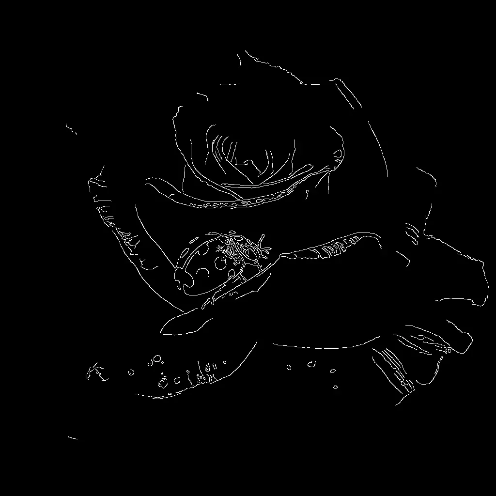 Flux.1 Canny Model - 2