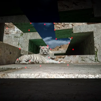 Wan ATI Motion Control