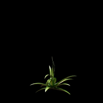 Video Restyle - Before