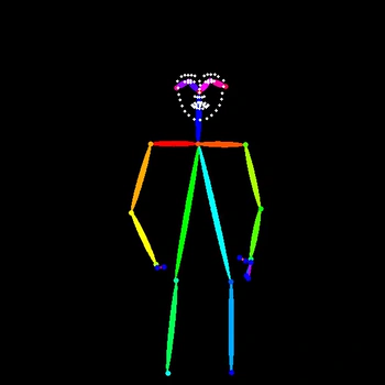 SDPose-OOD: Video to Pose Map - After